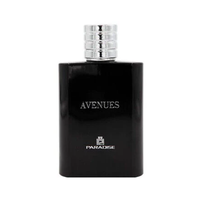 Avenues 100ml Perfumed Fragrance by Fragrance World – Spicy Fruity Woody Scent