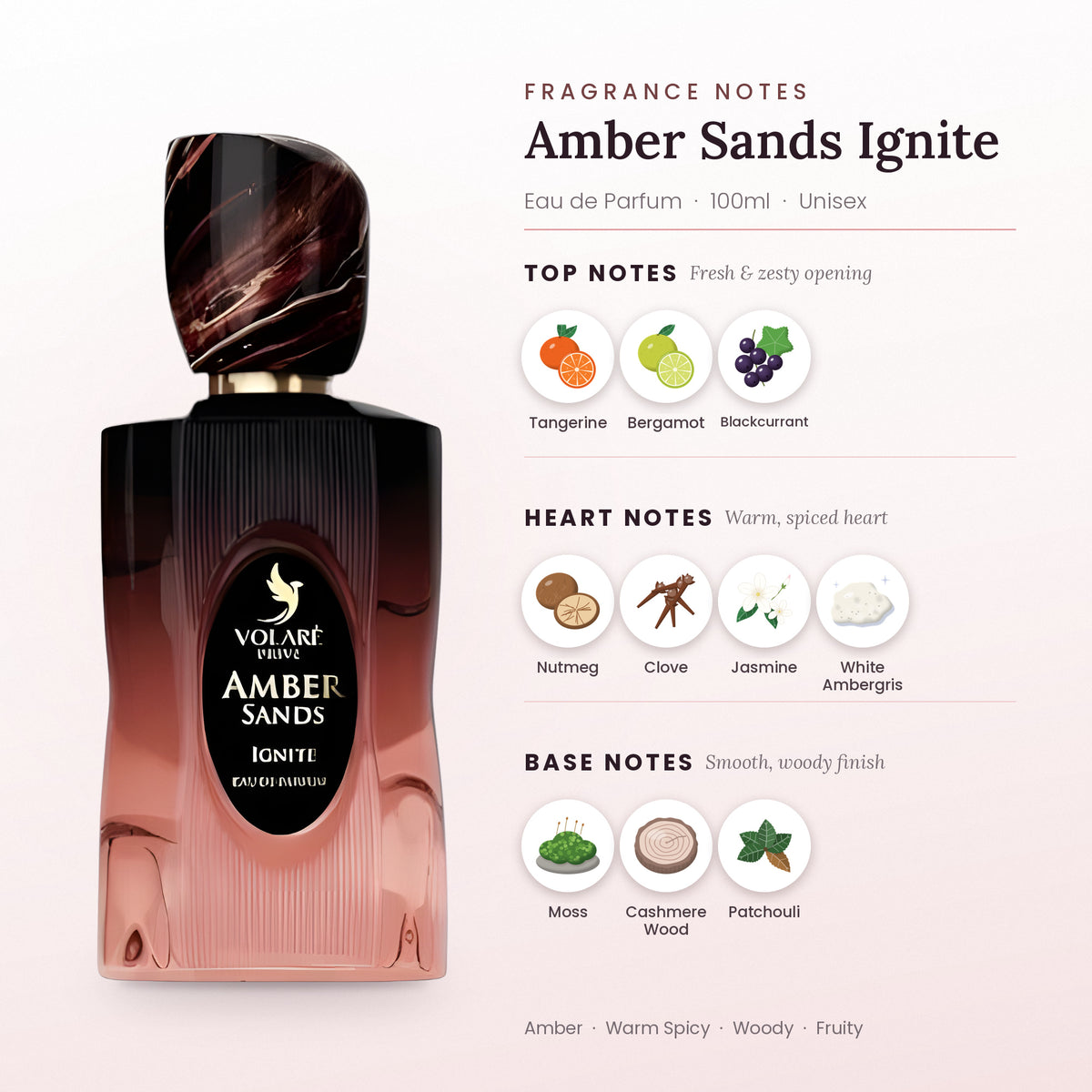 Amber Sands Ignite fragrance notes – top, heart and base