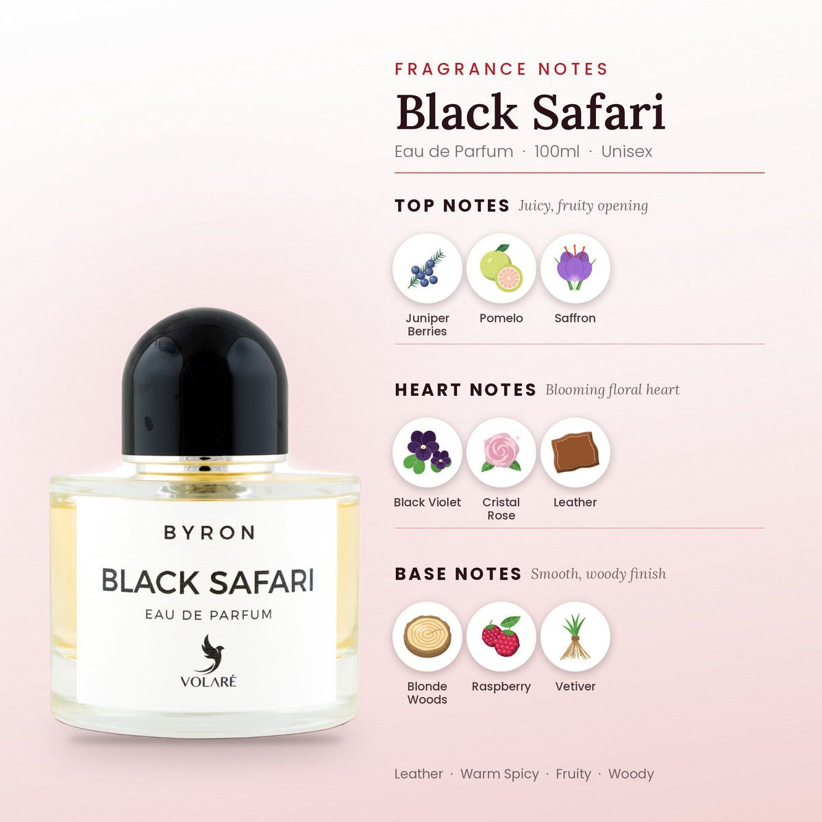 Black Safari fragrance notes – top, heart and base