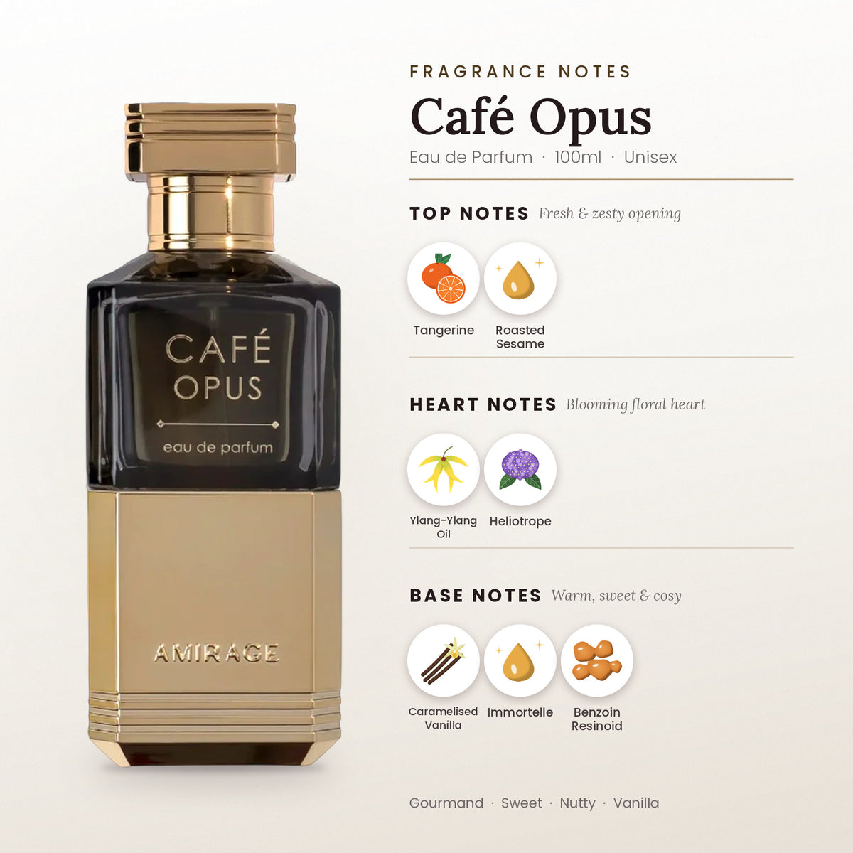 Café Opus fragrance notes – top, heart and base
