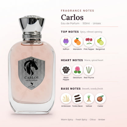 Carlos fragrance notes – top, heart and base