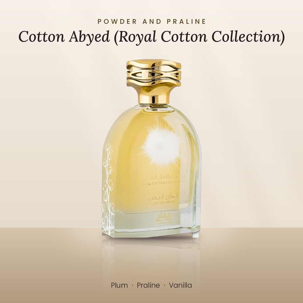 Cotton Abyed (Royal Cotton Collection) by Mamlakat Al Oud lifestyle