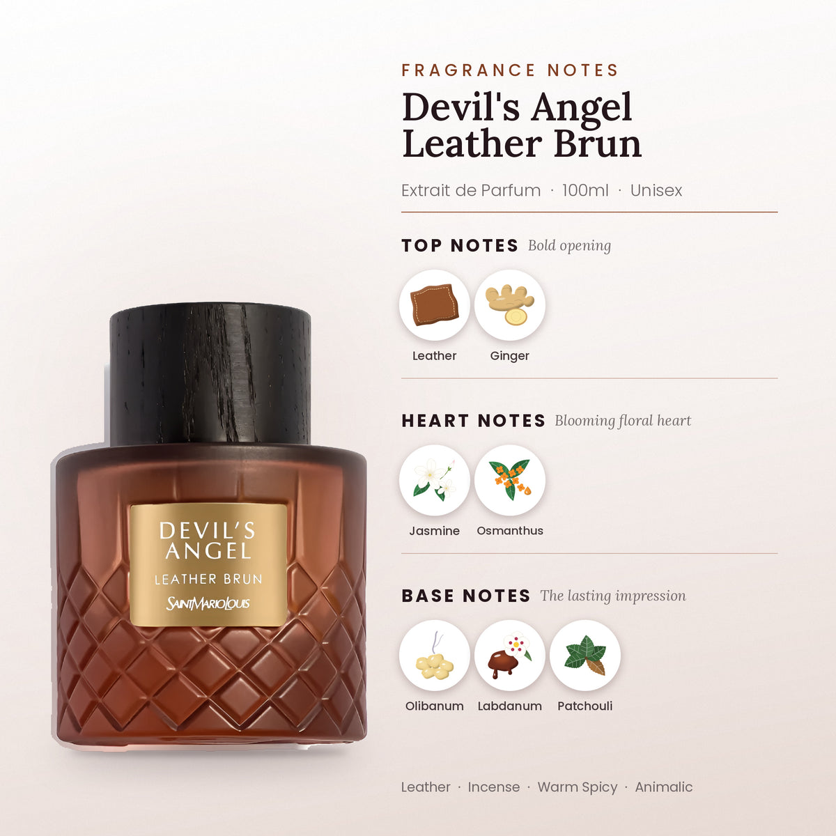 Devil's Angel Leather Brun fragrance notes – top, heart and base