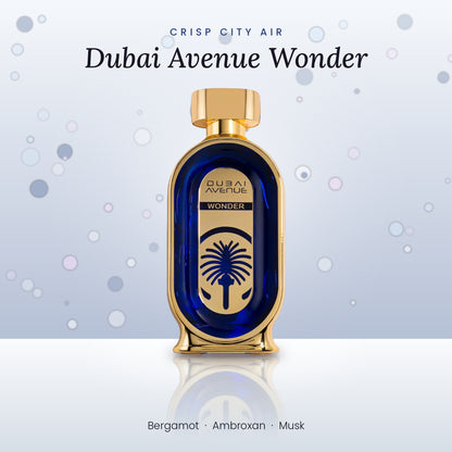 Dubai Avenue Wonder by Shaikh Saeed lifestyle