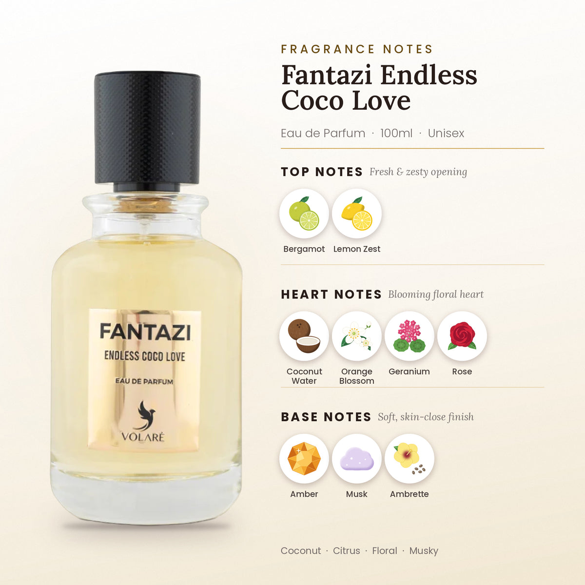 Fantazi Endless Coco Love fragrance notes – top, heart and base