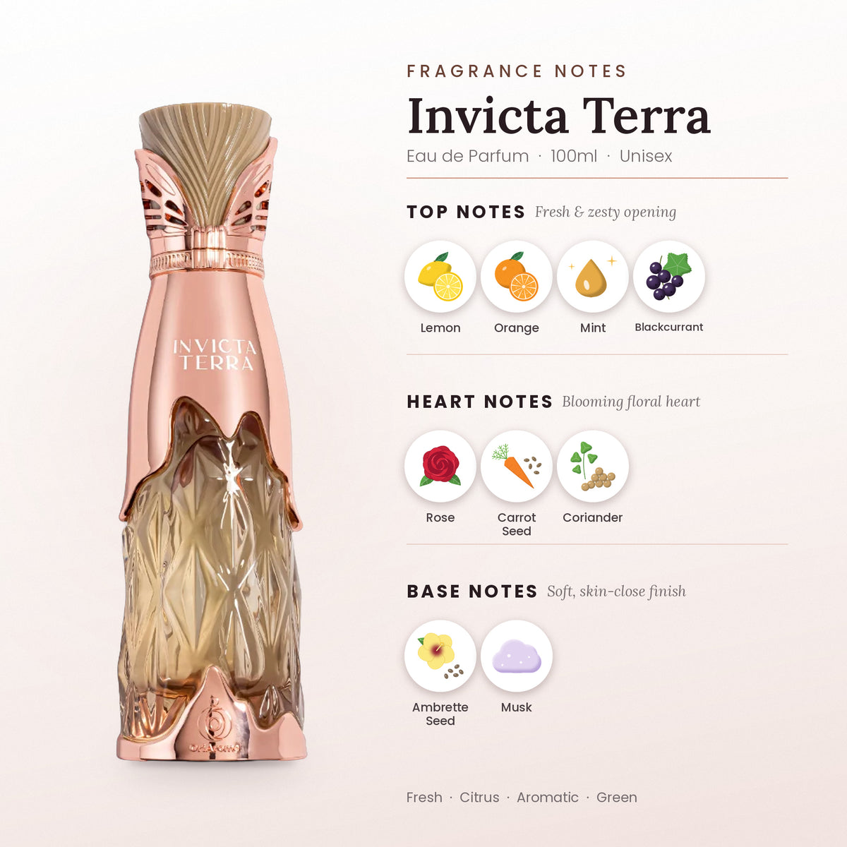 Invicta Terra fragrance notes – top, heart and base