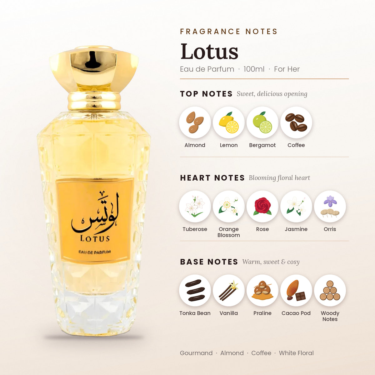 Lotus fragrance notes – top, heart and base