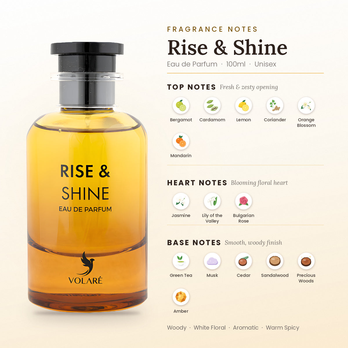 Rise & Shine fragrance notes – top, heart and base