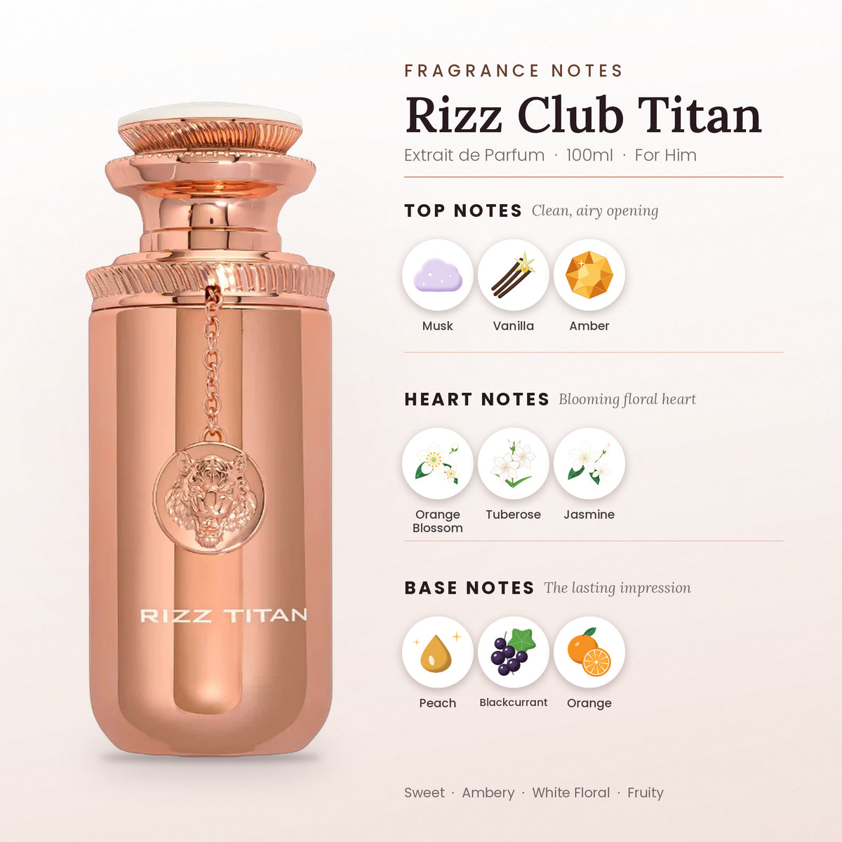 Rizz Club Titan fragrance notes – top, heart and base