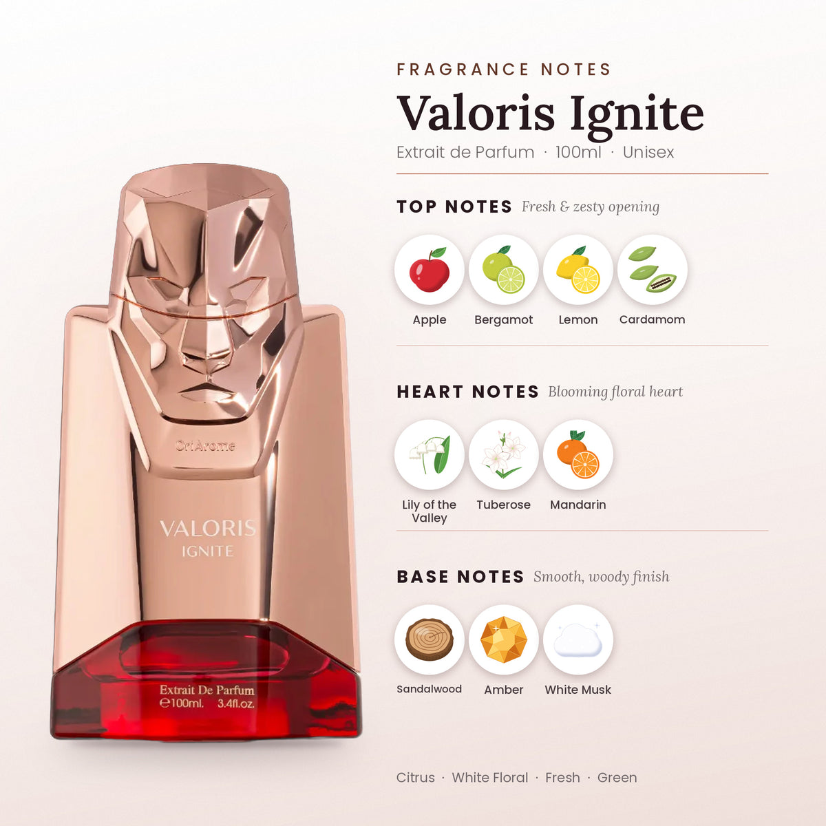 Valoris Ignite fragrance notes – top, heart and base